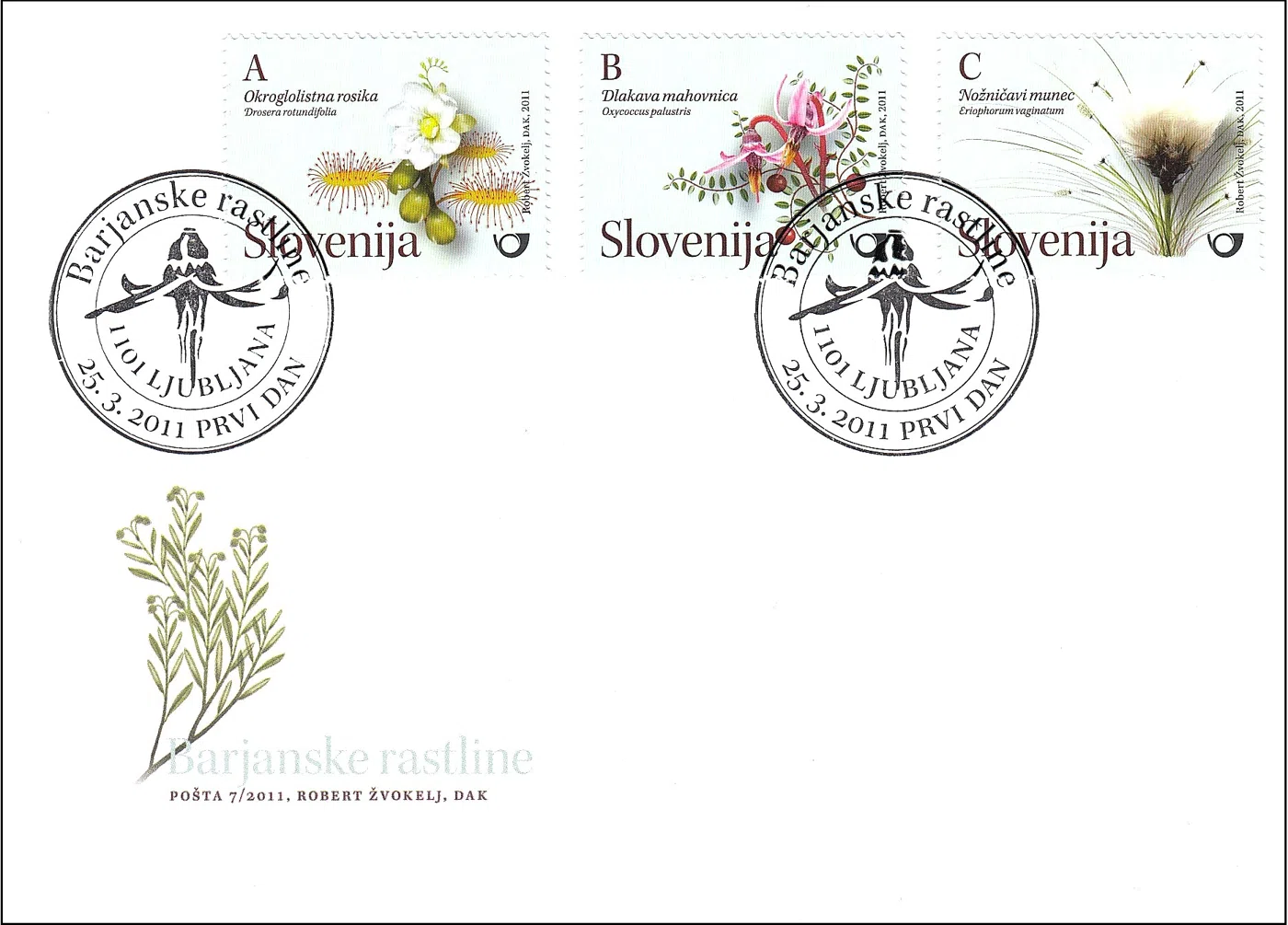 RASTLINSTVO - BARJANSKE RASTLINE